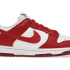 Nike Dunk Low Next Nature White Gym Red (W)